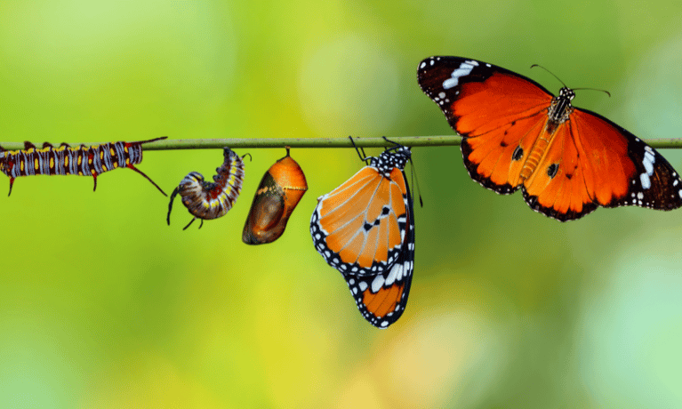 How Digital Transformation is Reshaping and Improving Small Businesses