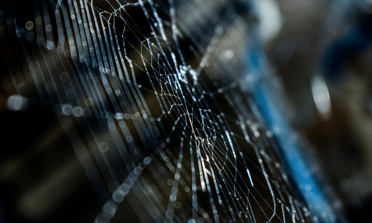 What Is Dark Web Monitoring?